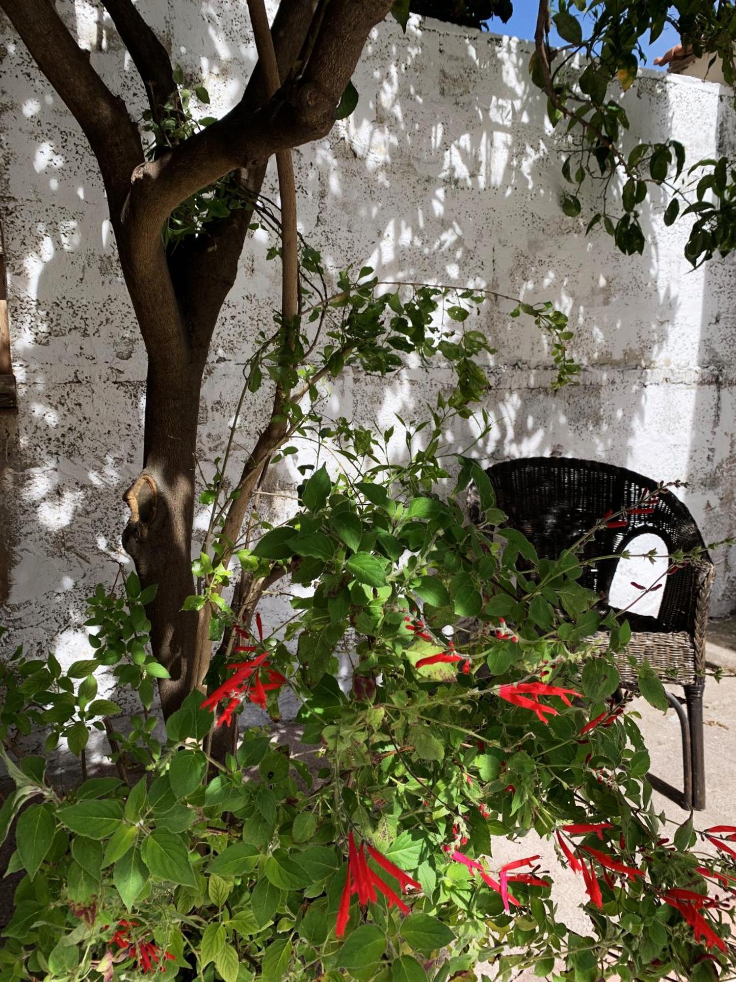 Tap Apartments - In Independent House With Private Garden Alghero Exterior foto