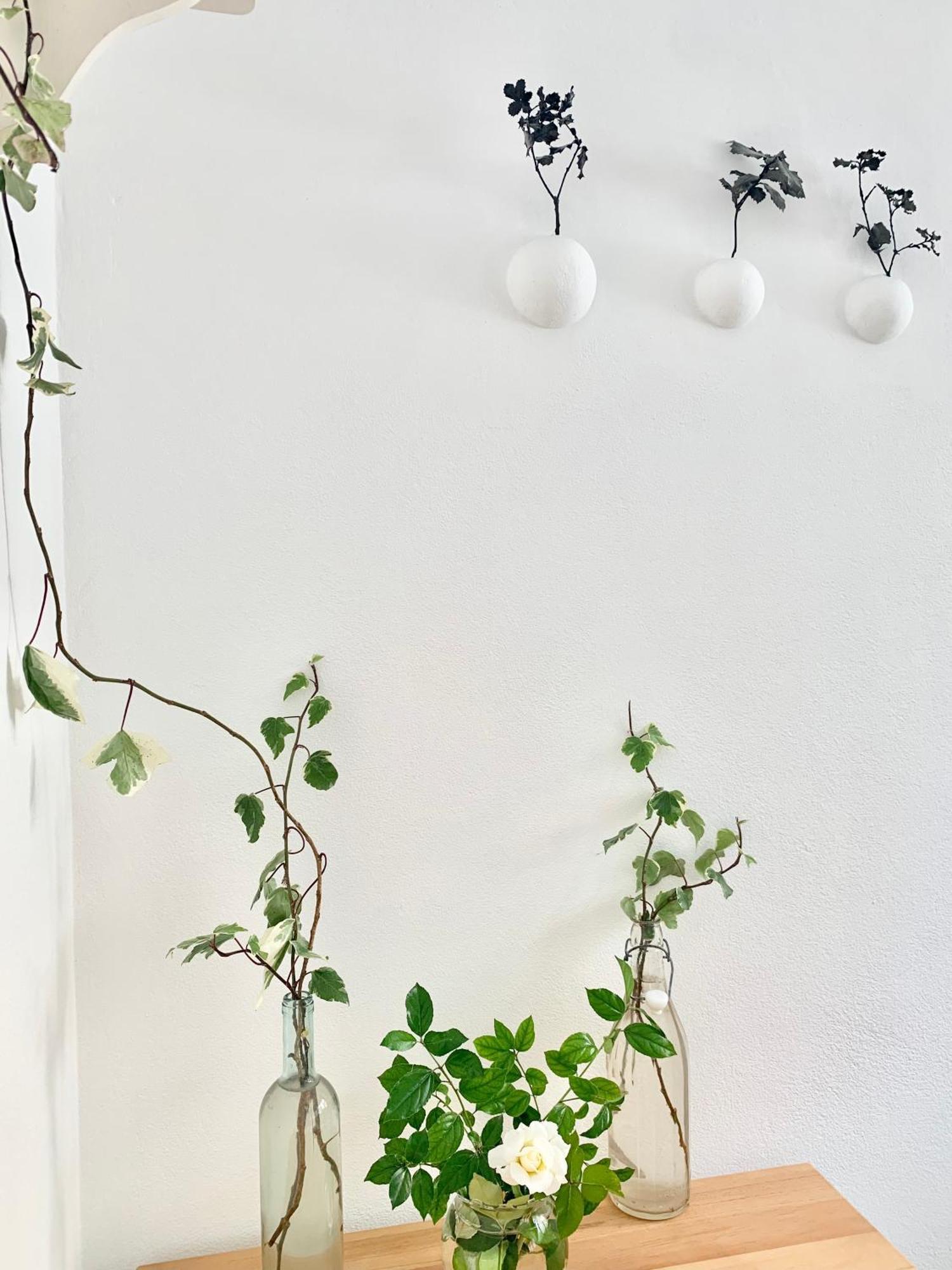 Tap Apartments - In Independent House With Private Garden Alghero Exterior foto